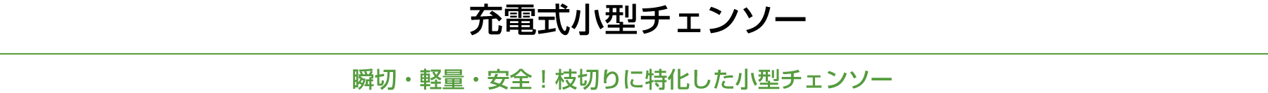 充電式小型チェンソー